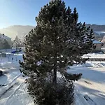 Pod Turbinou * Loučná nad Desnou