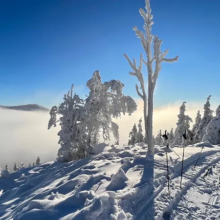 Appartamento Pod Turbínou Loučná nad Desnou