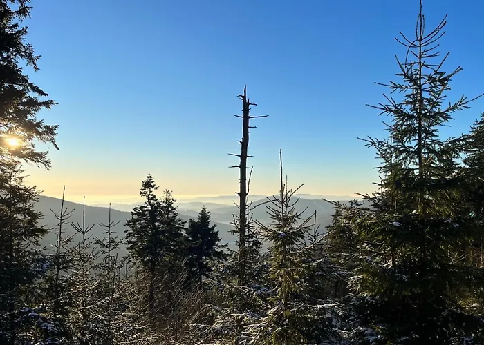 Pod Turbínou Appartamento Loučná nad Desnou